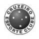 Cruzeiro Esporte Clube